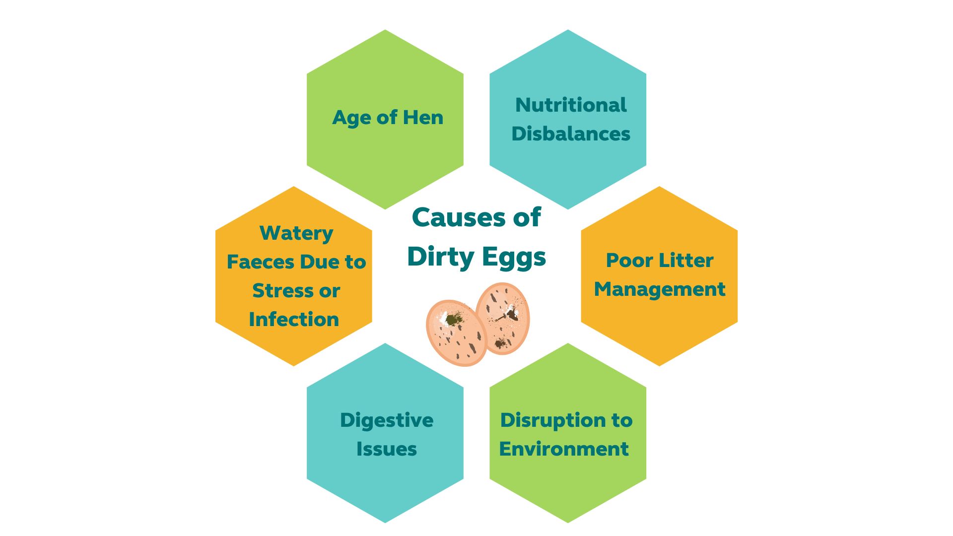 dirty egg diagram